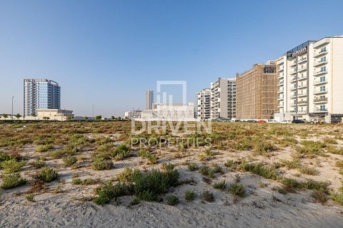 Land de 61370m² en Dubai Land, UAE No. 85064 3