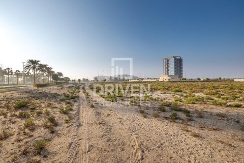 Land de 61370m² en Dubai Land, UAE No. 85064 2