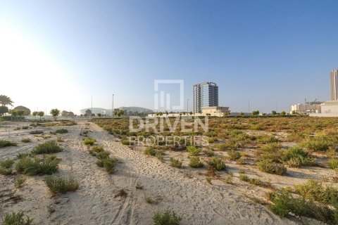 Land de 61370m² en Dubai Land, UAE No. 85064 4