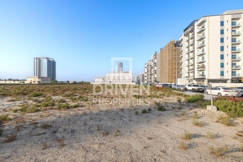 Land de 61370m² en Dubai Land, UAE No. 85064 10