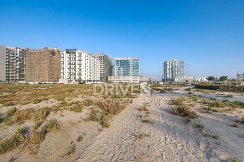 Land de 61370m² en Dubai Land, UAE No. 85064 5