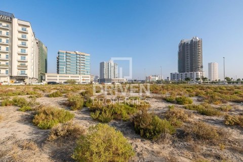 Land de 61370m² en Dubai Land, UAE No. 85064 11
