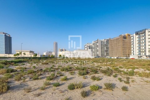 Land de 61370m² en Dubai Land, UAE No. 85064 9