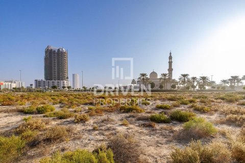Land de 61370m² en Dubai Land, UAE No. 85064 8