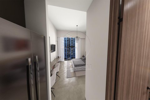 استوديو شقة على Saadiyat Cultural District, الإمارات العربية المتحدة رقم 91360 8