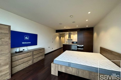 Studio Apartment in Downtown Dubai (Downtown Burj Dubai), UAE No. 193939 3