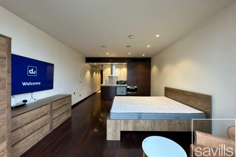 Studio Apartment in Downtown Dubai (Downtown Burj Dubai), UAE No. 193939 16