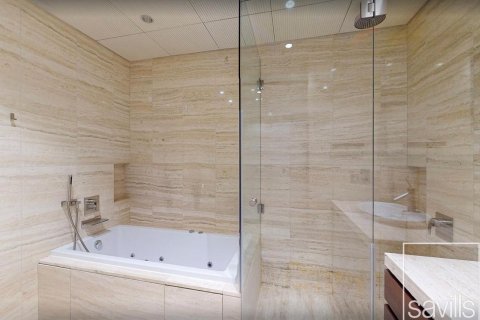 Studio Apartment in Downtown Dubai (Downtown Burj Dubai), UAE No. 193939 8