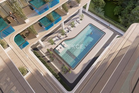 Studio Apartment in Majan, UAE No. 172308 5