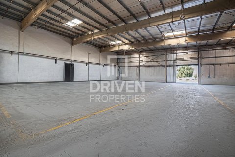 5100.93m² Warehouse in Jebel Ali, UAE No. 193846 9