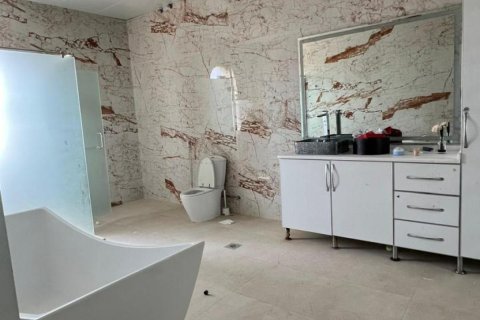 6 bedrooms Villa in Seih Al Uraibi, UAE No. 184120 13