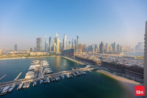 2 bedrooms Apartment in Dubai Harbour, UAE No. 165486 22