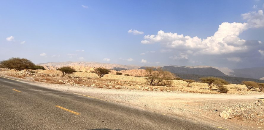 883مربع، قطعة أرض في Seih Al Harf, الإمارات العربية المتحدة رقم 172089
