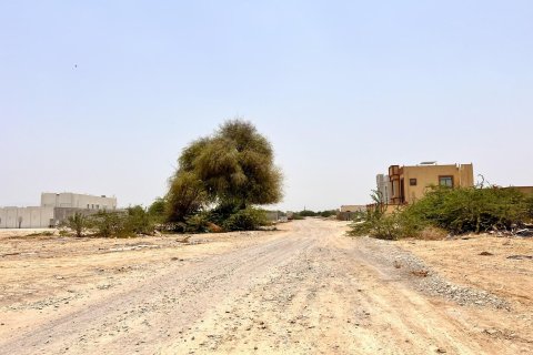 900مربع، قطعة أرض في Al Kharran, الإمارات العربية المتحدة رقم 172090 18
