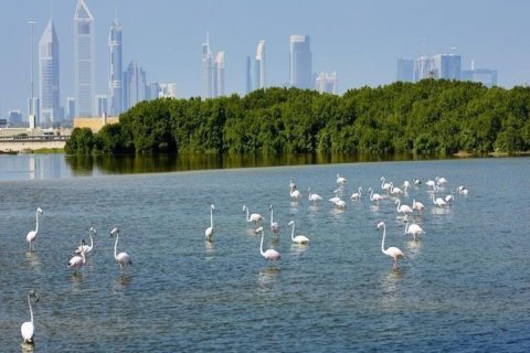 1 bedroom Apartment in Ras Al Khor, UAE No. 184398 8