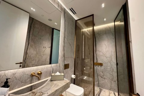 8 bedrooms Villa in Ras Al Khaimah, UAE No. 183824 9