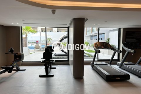 Appartement de 1 chambre à District 11, UAE No. 205888 5