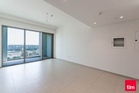 Appartement de 1 chambre à Downtown Dubai (Downtown Burj Dubai), UAE No. 161859 21