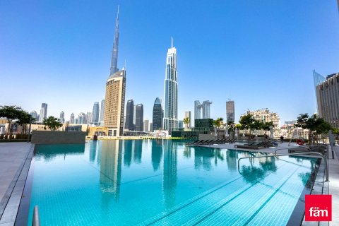Appartement de 1 chambre à Downtown Dubai (Downtown Burj Dubai), UAE No. 161859 8
