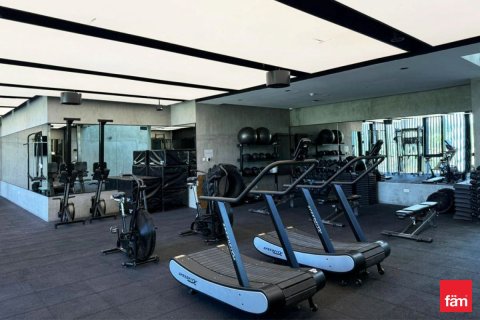 Квартира с 1 спальней в Дубай, ОАЭ №141612 20