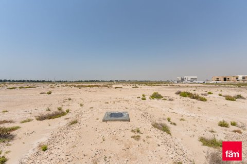 930m² Land in Jebel Ali, UAE No. 14856 2
