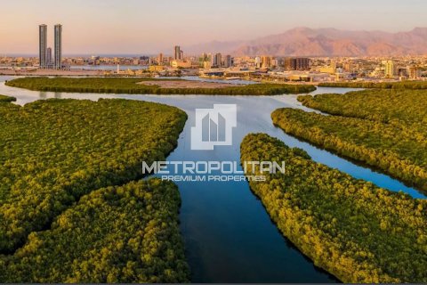 Квартира с 2 спальнями в Mina Al Arab, ОАЭ №11046 4