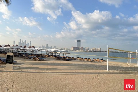 Appartement de 49.4m² à Palm Jumeirah, UAE No. 89449 15