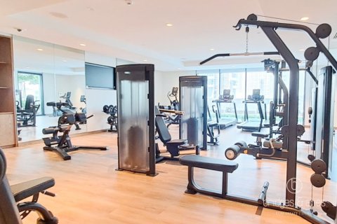 Apartment de 1 dormitorio en Downtown Dubai (Downtown Burj Dubai), UAE No. 148214 30