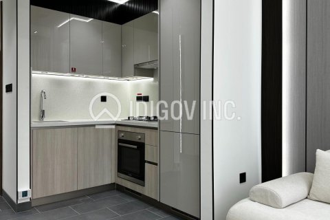 Apartment de 1 dormitorio  No. 116464 13