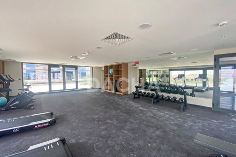 Appartement de 1 chambre à Rukan, UAE No. 170221 24