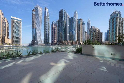 4 bedrooms Villa in Dubai Marina, UAE No. 23464 17