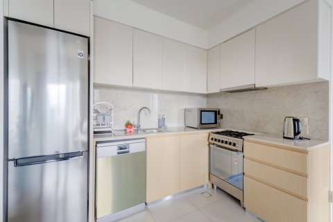 Apartment de 1 dormitorio en Downtown Dubai (Downtown Burj Dubai), UAE No. 203550 9