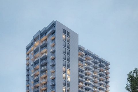 Appartement de Studio à Jebel Ali, UAE No. 173161 3