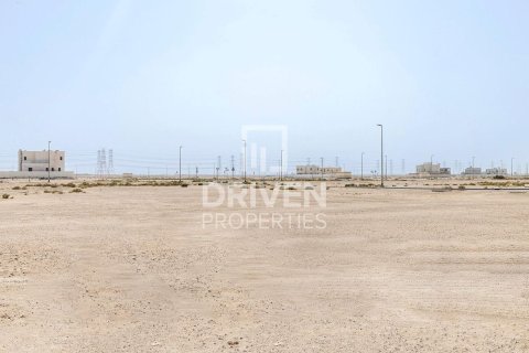 900.04m² Land in Jebel Ali, UAE No. 204013 4