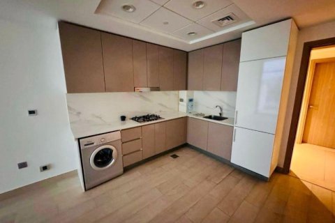Квартира с 1 спальней в Дубай, ОАЭ №76359 14