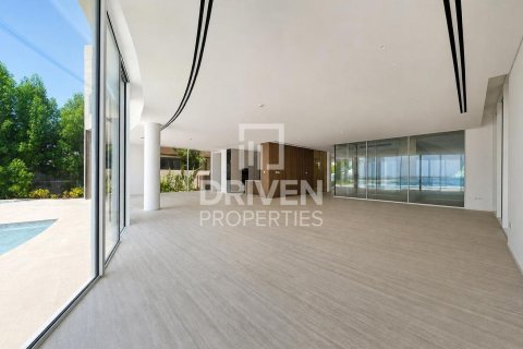 2255.04m² Villa in The World Islands, UAE No. 192179 11