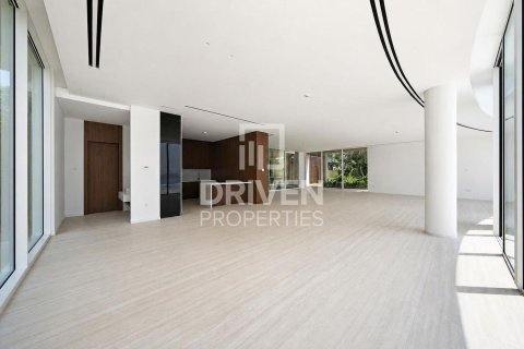 2255.04m² Villa in The World Islands, UAE No. 192179 17