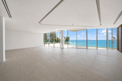 2255.04m² Villa in The World Islands, UAE No. 192179 14
