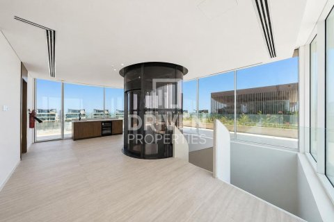 2255.04m² Villa in The World Islands, UAE No. 192179 19