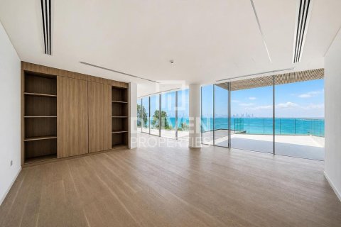 2255.04m² Villa in The World Islands, UAE No. 192179 15