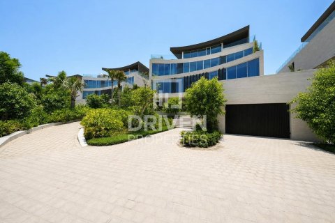 2255.04m² Villa in The World Islands, UAE No. 192179 6