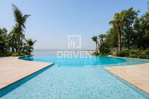 2255.04m² Villa in The World Islands, UAE No. 192179 4