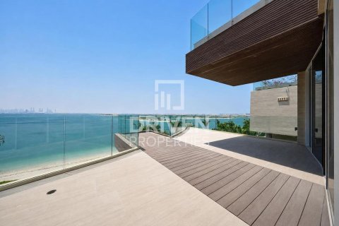 2255.04m² Villa in The World Islands, UAE No. 192179 8