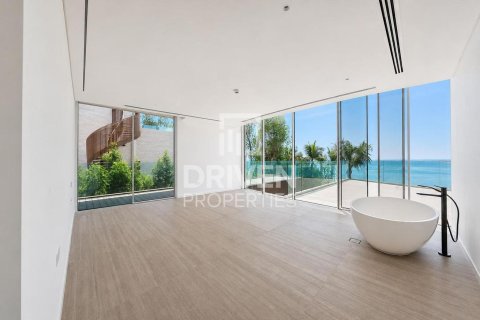 2255.04m² Villa in The World Islands, UAE No. 192179 26