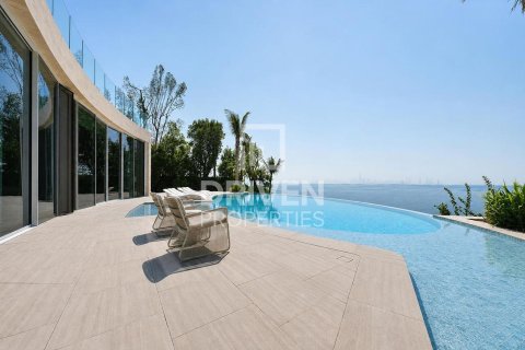 2255.04m² Villa in The World Islands, UAE No. 192179 3