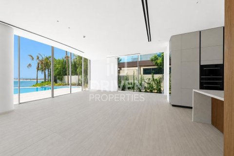 2255.04m² Villa in The World Islands, UAE No. 192179 13