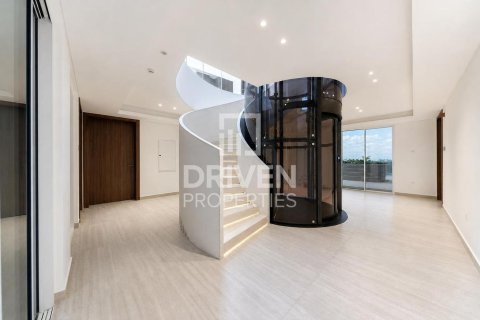 2255.04m² Villa in The World Islands, UAE No. 192179 10