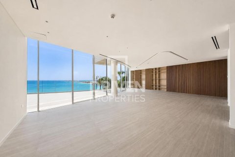 2255.04m² Villa in The World Islands, UAE No. 192179 9