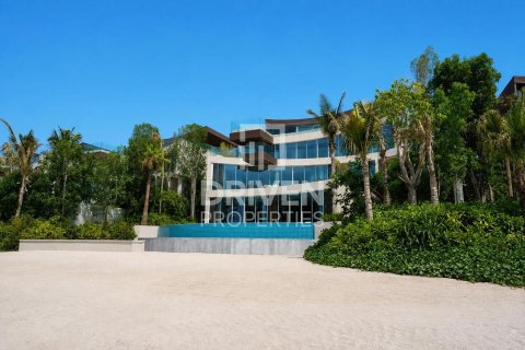 2255.04m² Villa in The World Islands, UAE No. 192179 7