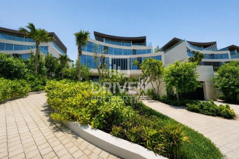 2255.04m² Villa in The World Islands, UAE No. 192179 5